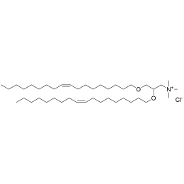 DOTMA Chloride - 500mg