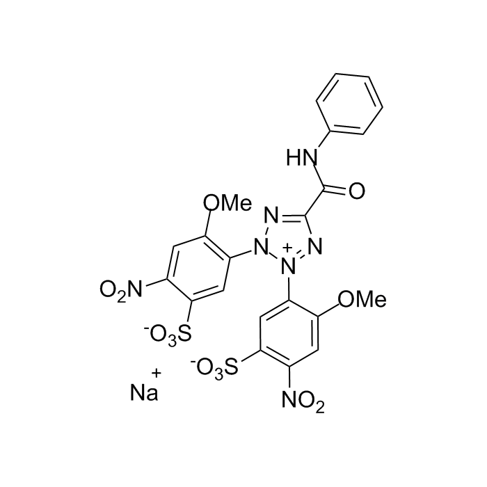 XTT  - 500mg